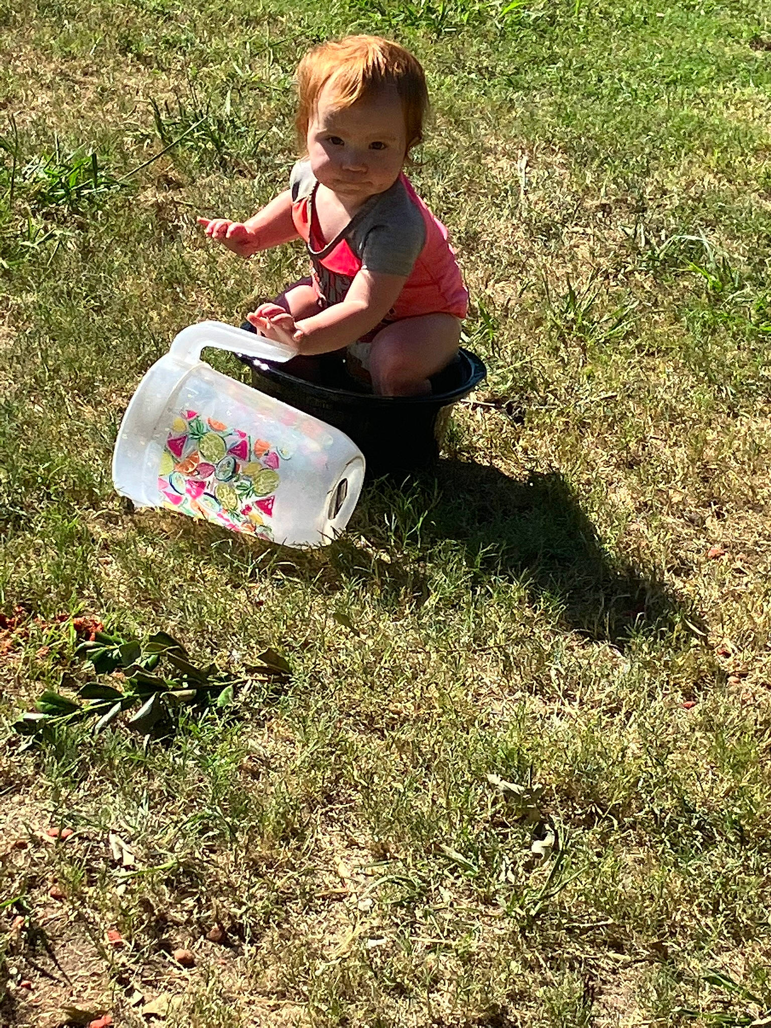 Aurora joined the competition — help win amazing prizes! baby, baby_toddler_clothing, child, fun, grass, grassland, groundcover, happy, lawn, people_in_nature, person, plant, play, recreation, sitting, soil, toddler, yard