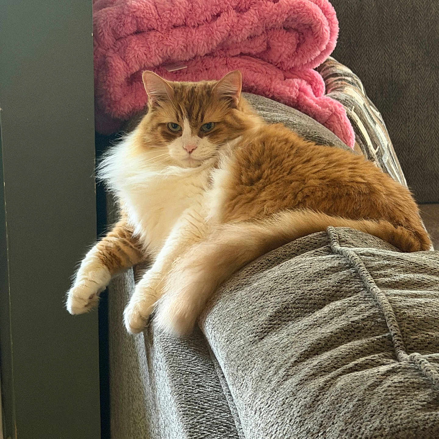 Oliver