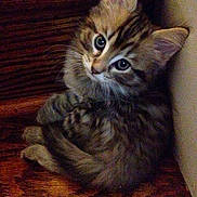 Zoe is registered to the contest to win money with this photo: