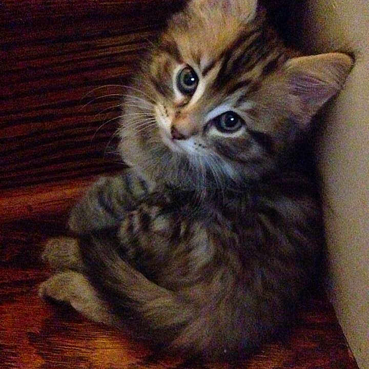 Zoe