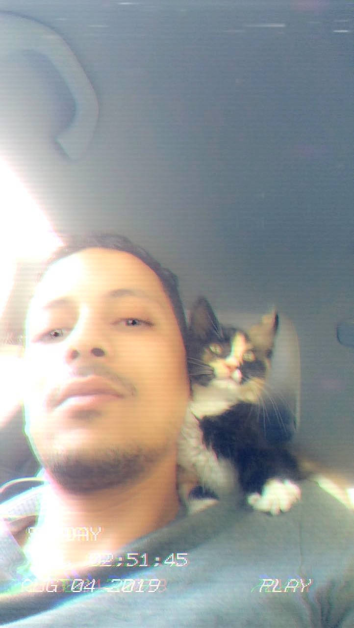 Chatchat participe au concours pour gagner de l'argent avec cette photo : beard, black_hair, carnivore, cat, chin, cool, eyebrow, eyewear, facial_expression, felidae, fun, happy, jaw, mouth, neck, nose, small_to_medium_sized_cats, tints_and_shades, vision_care, whiskers