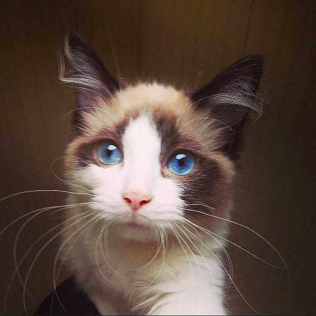 Sky Blue