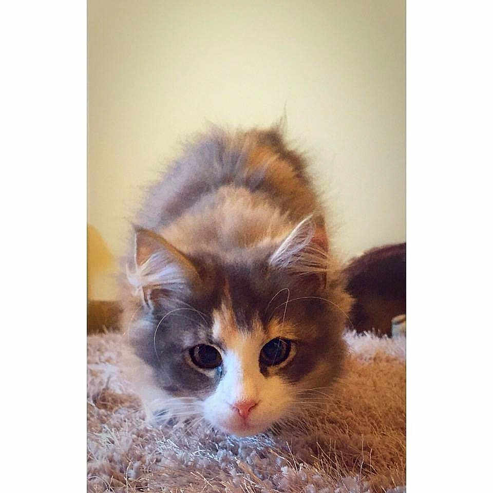 Storm is registered to the contest to win money with this photo: