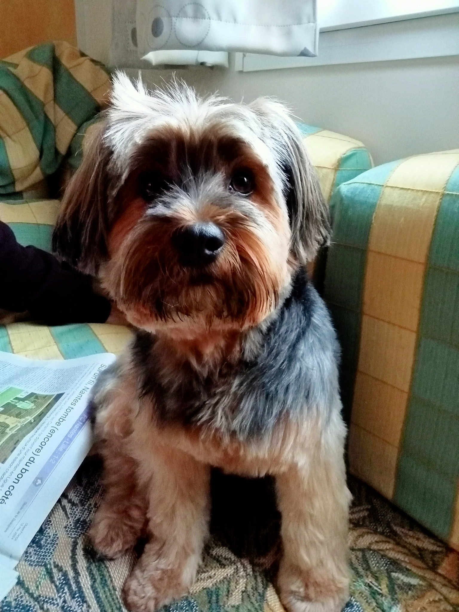 Molly