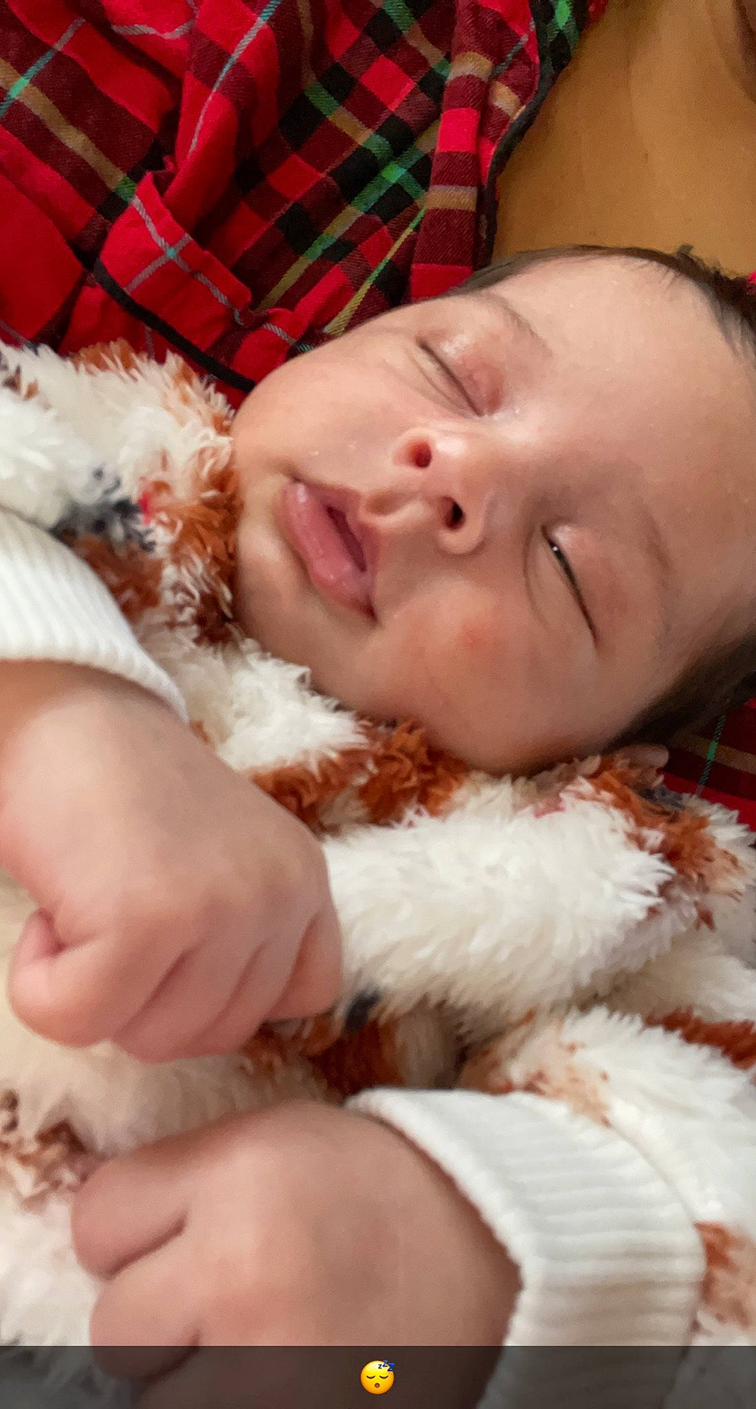 Jenna joined the competition — help win amazing prizes! baby, cheek, child, christmas, comfort, eyelash, fur, fur_clothing, gesture, happy, mammal, nail, nose, pattern, paw, person, plaid, skin, tartan, toddler