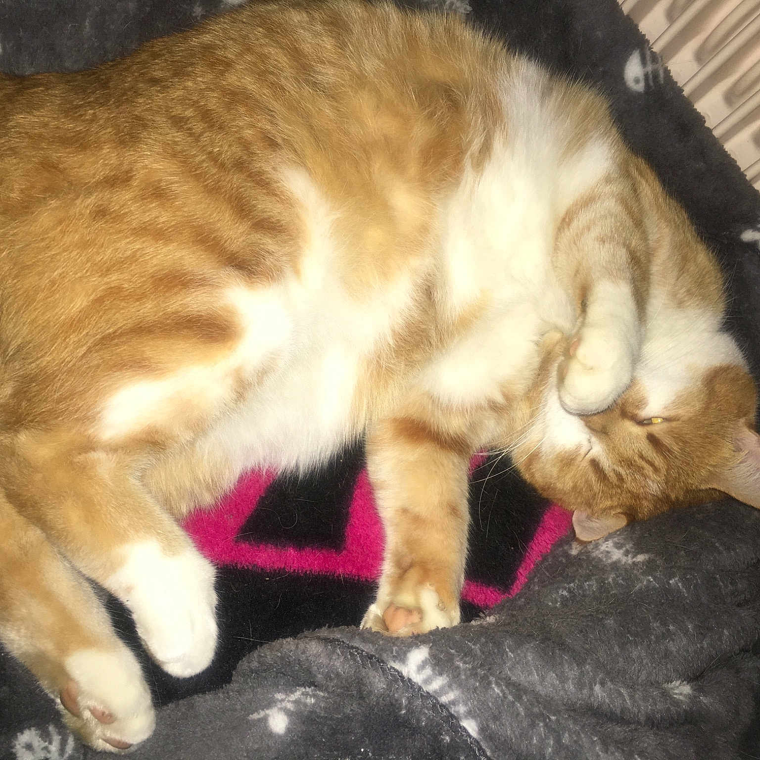 Caramel