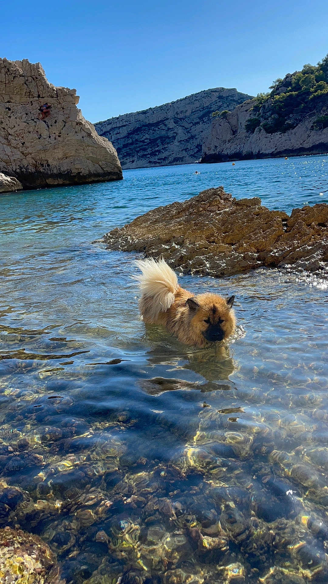 Vaiana