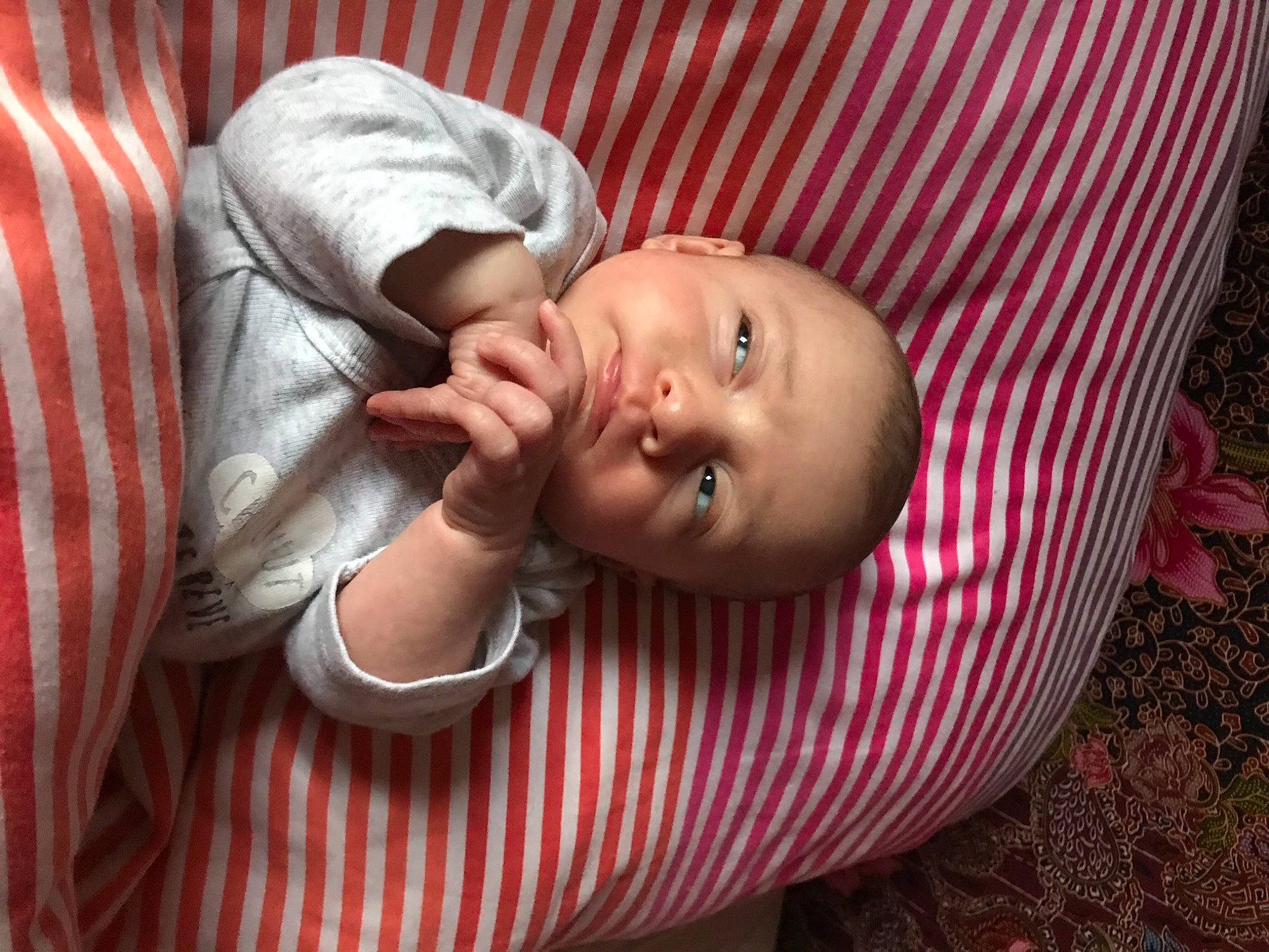 Ilana participe au concours pour gagner de l'argent avec cette photo : arm, baby, baby_toddler_clothing, cheek, child, comfort, face, finger, gesture, grass, hand, happy, nose, pattern, person, portrait_photography, sitting, sleeve, smile, toddler