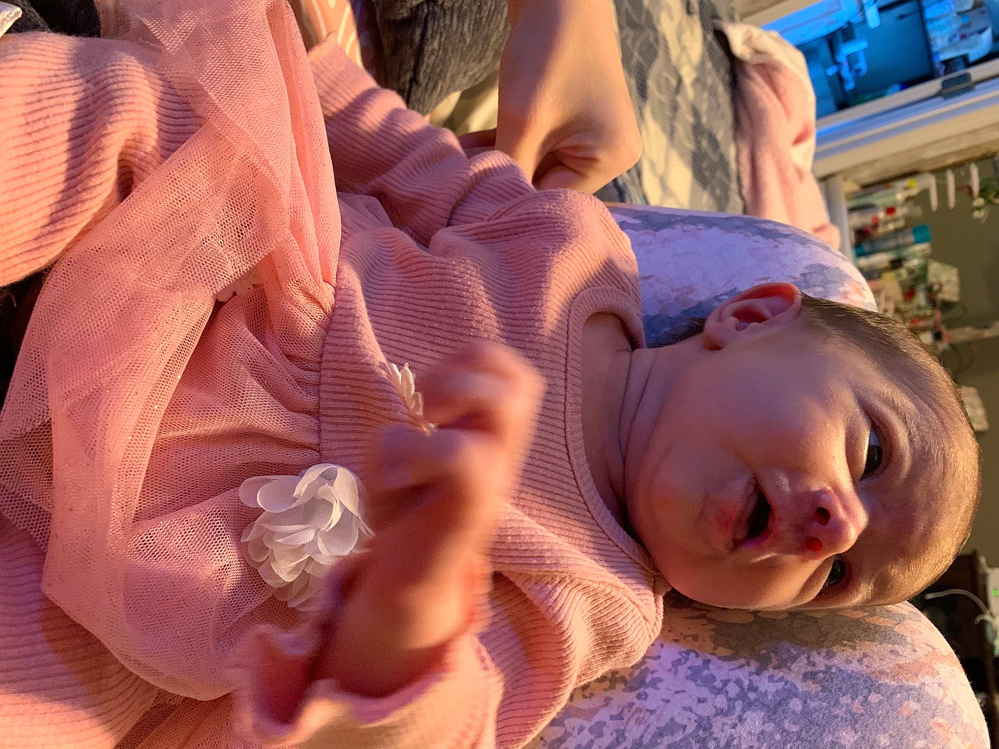 Roseleigh is registered to the contest to win money with this photo: arm, child, comfort, cool, dress, finger, fun, gesture, happy, human_body, leg, mouth, orange, people, person, plant, skin, thumb, toddler, tree