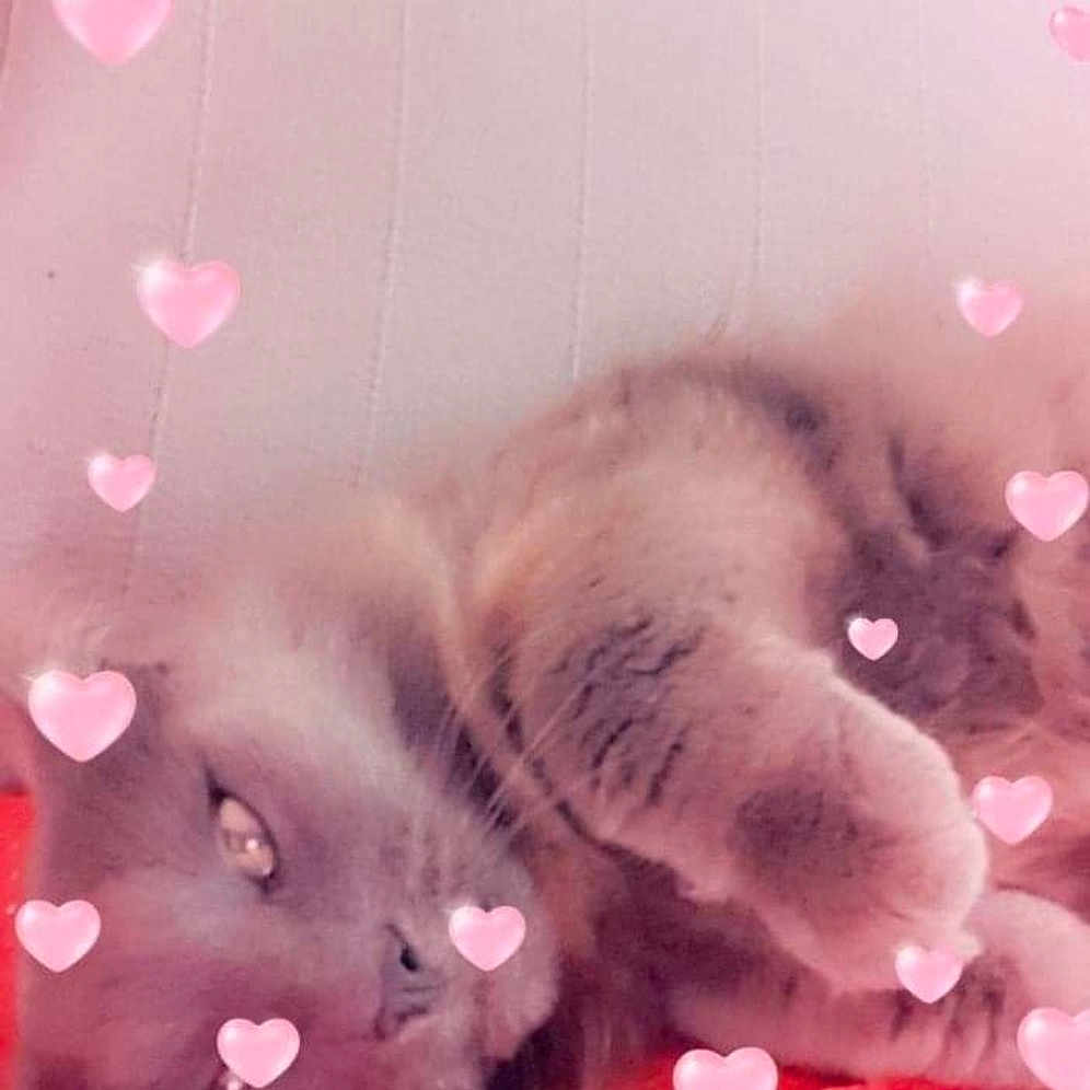 Doudou