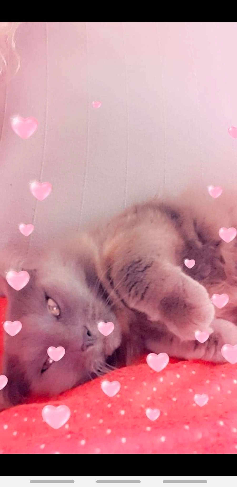 Doudou