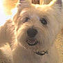 Prince participe au concours pour gagner de l'argent avec cette photo :