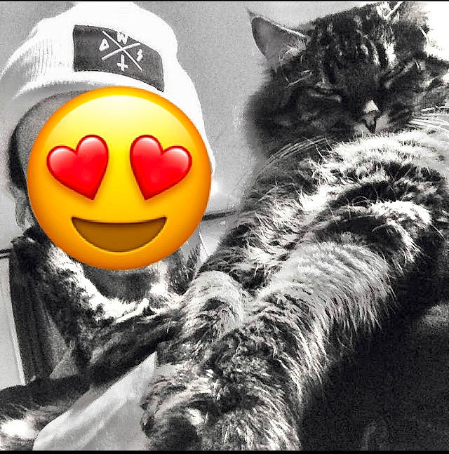 Lupin participe au concours pour gagner de l'argent avec cette photo : audio_equipment, cat, comfort, emoticon, eyewear, facial_expression, fashion_accessory, felidae, font, fur, happy, headgear, monochrome_photography, paw, photo_caption, small_to_medium_sized_cats, stuffed_toy, tail, toy, whiskers