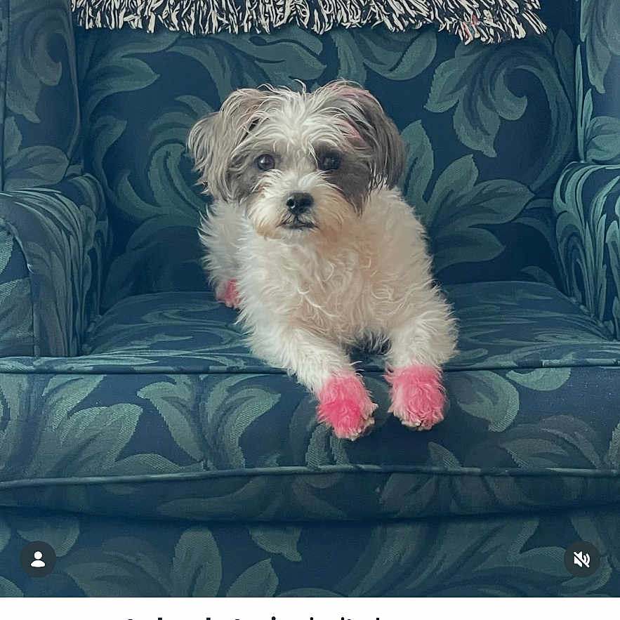 Coco