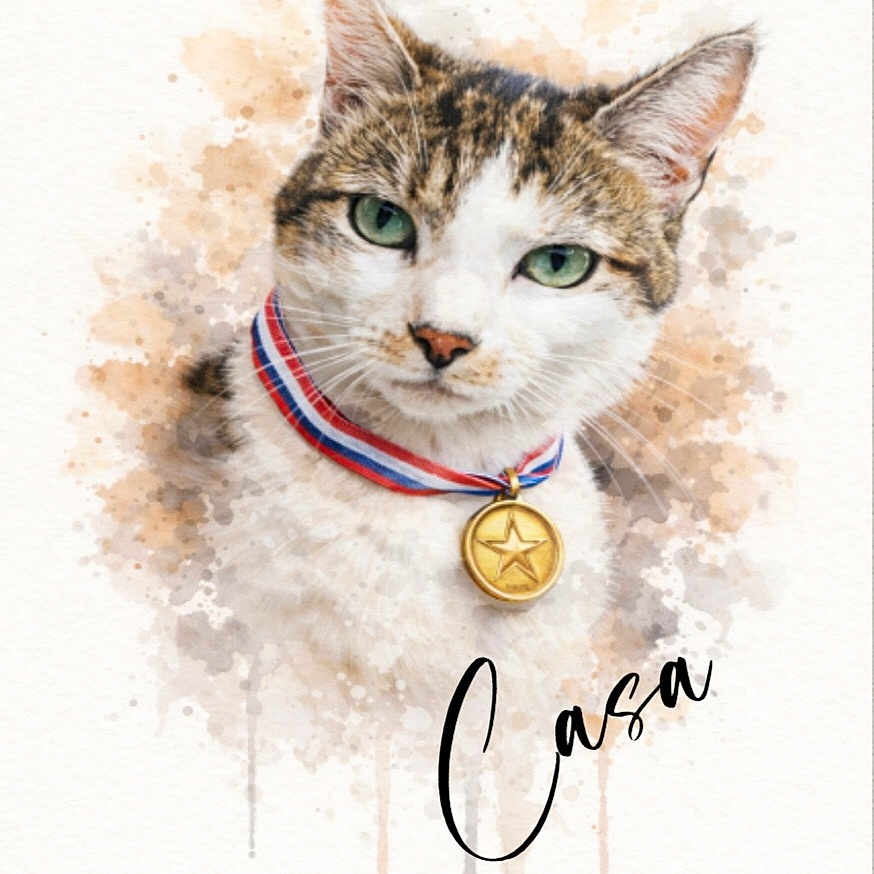 Casa a rejoint le concours — aidez-le/la à gagner de superbes lots ! cat, watercolor, illustration, portrait, medal, ribbon, award, tabby, white_cat, green_eyes, whiskers, ears, animal, pet, artwork, paint_splashes, paper_texture, front_view, collar, decorative