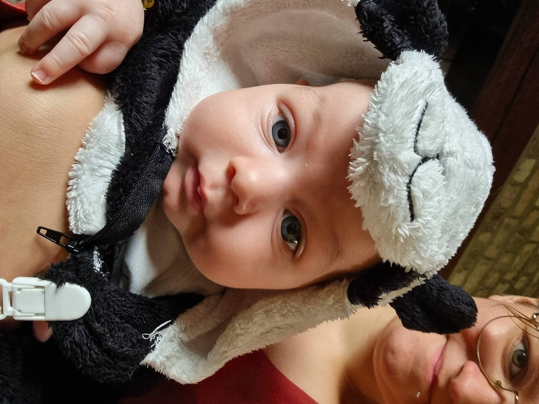 Adam a rejoint le concours — aidez-le/la à gagner de superbes lots ! baby, cap, cheek, child, chin, doll, ear, eyebrow, eyelash, flash_photography, fur_clothing, gesture, happy, headgear, headwear, iris, lip, nose, person, skin