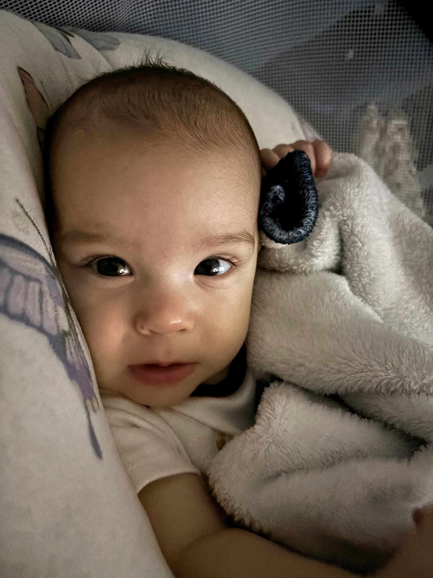 Alynn is registered to the contest to win money with this photo: baby, blanket, closeup, face, infant, sleeping_area, soft_texture, cushion, cozy, indoors, child, portrait, warm, comfort, young, skin, expression, resting, wrapped, cute