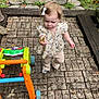 Evelynn is registered to the contest to win money with this photo: child, curious, daylight, exploring, flower_print, grass, hair_bow, leaf, nature, outdoor, pants, pavement, play, shoes, standing, stone_patio, toddler, toy, walker, young_child