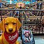 Kaia is registered to the contest to win money with this photo: baby, car_seat, child, smiling, indoor, mall, ferris_wheel, toy_dog, statue, red_bandana, yellow_dog, railing, people, shopping_mall, bright_lights, decor, child_seat, infant, happy, face