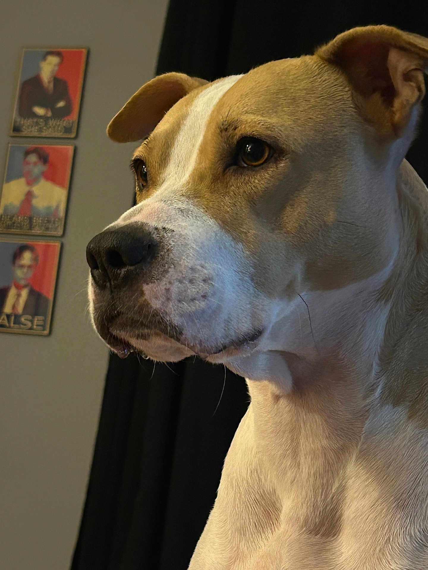 Nala