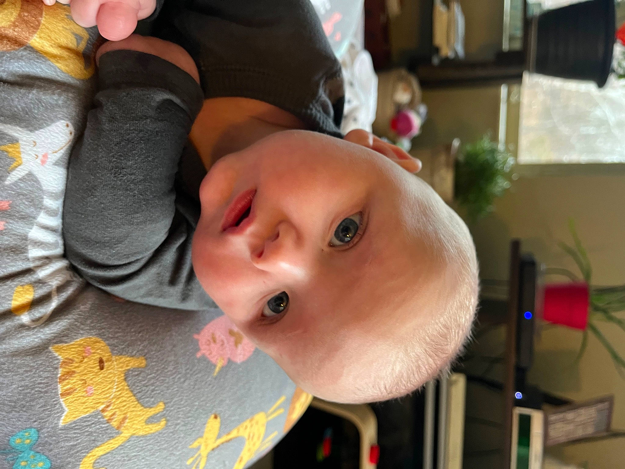 Sawyer joined the competition — help win amazing prizes! baby, baby_toddler_clothing, cheek, child, comfort, eyelash, fun, happy, hat, houseplant, nose, pattern, person, plant, room, sleeve, smile, toddler, window