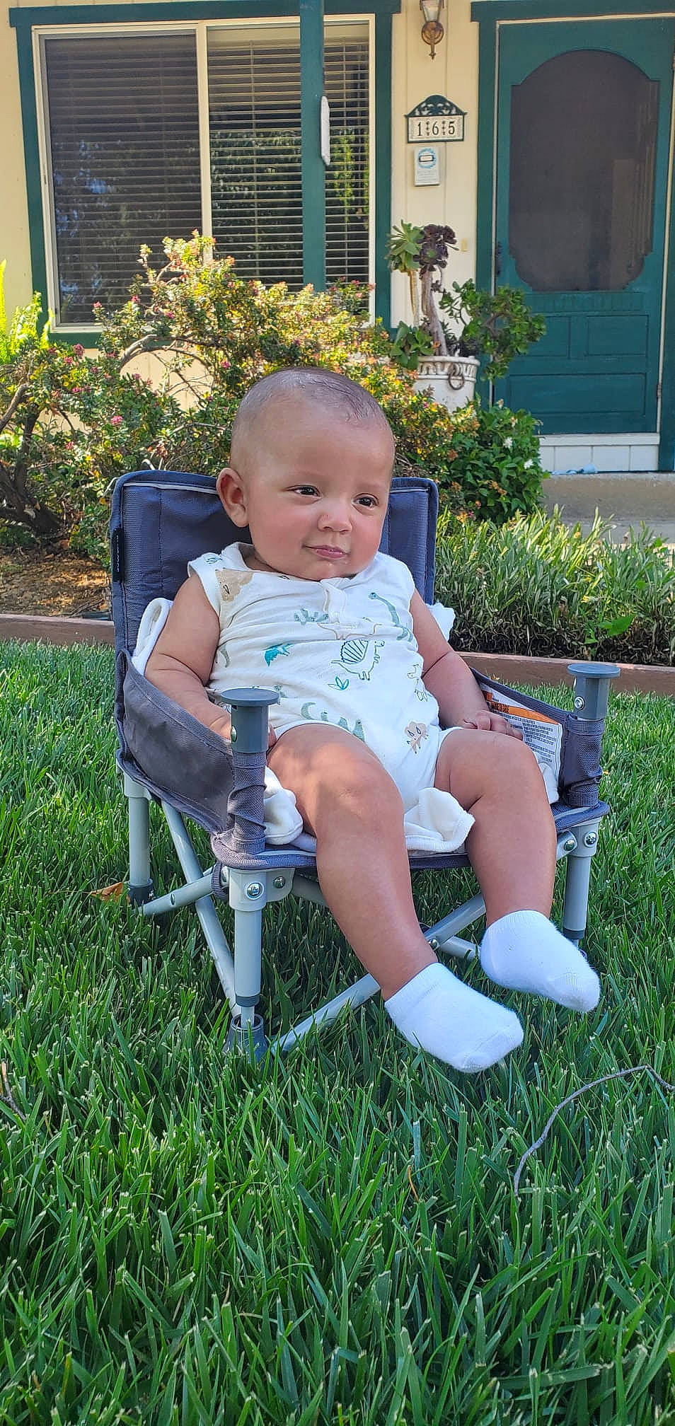 Gustavo joined the competition — help win amazing prizes! baby, baby_products, baby_toddler_clothing, chair, child, eye, folding_chair, garden, grass, head, human_leg, lap, leisure, mammal, people_in_nature, person, plant, sitting, thigh, toddler