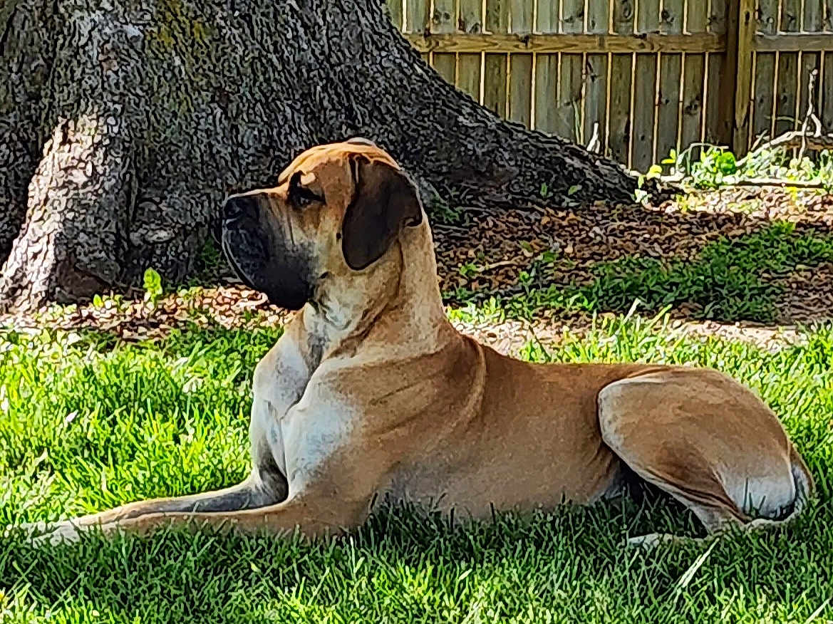 Sebastián