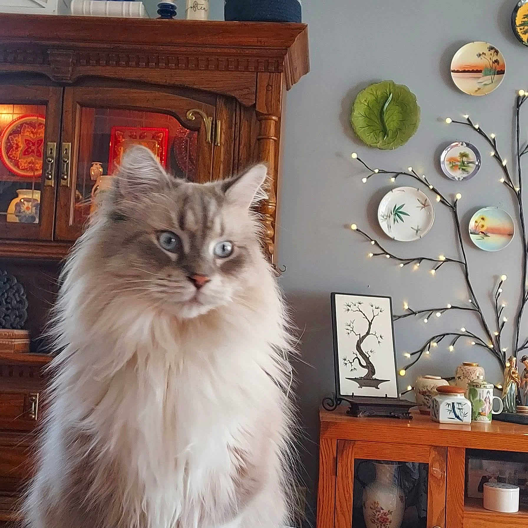 Fluffy