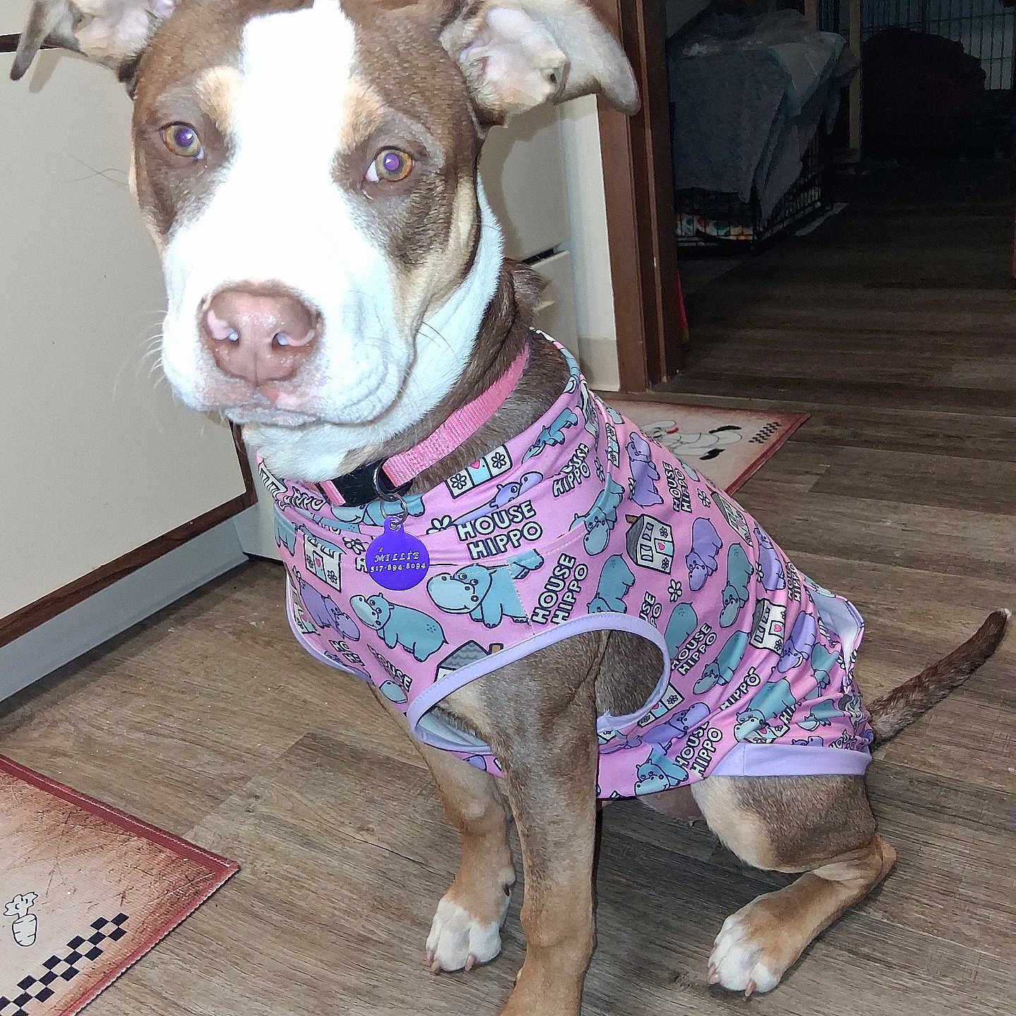 Millie Mae