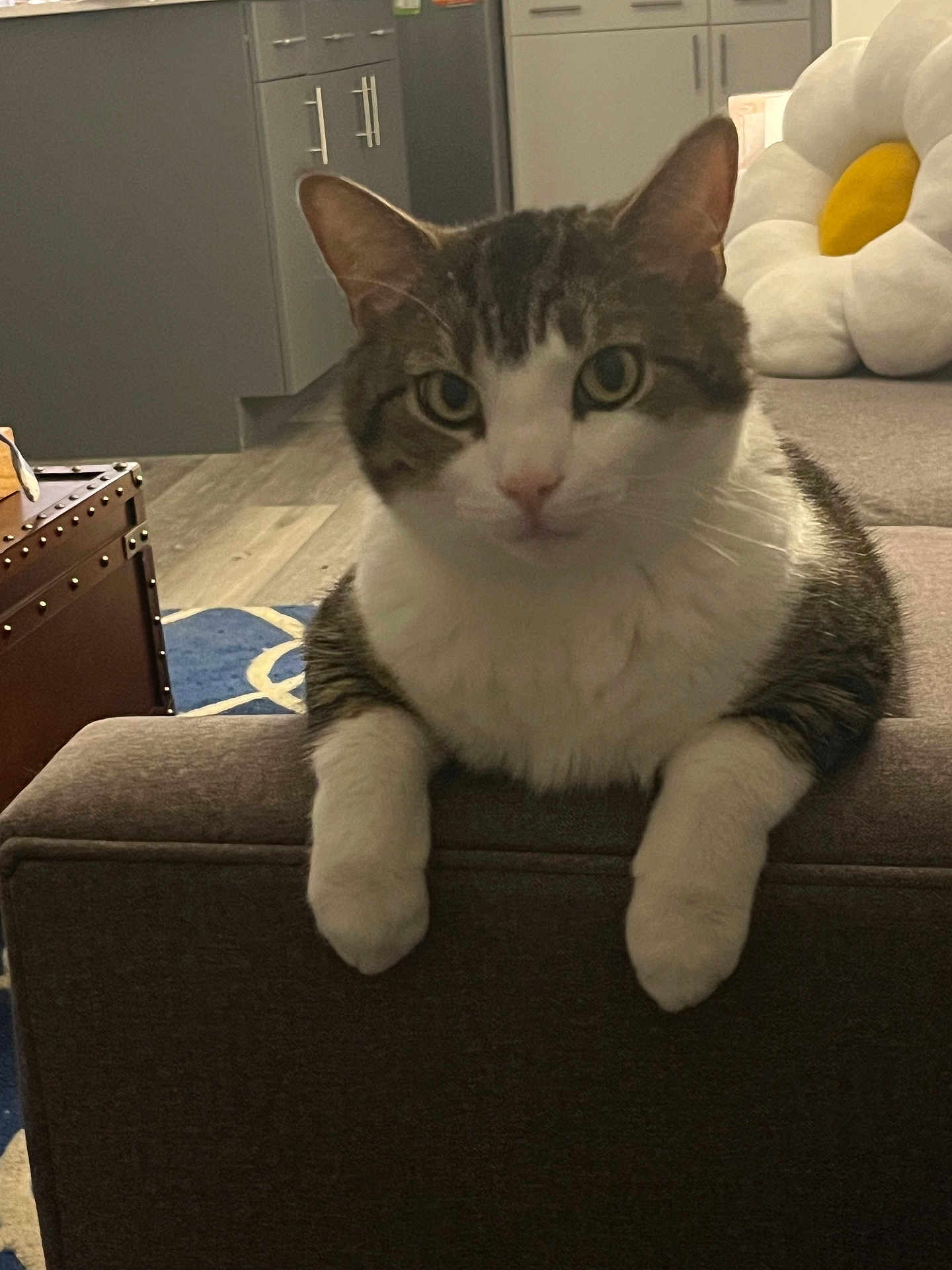 Henry