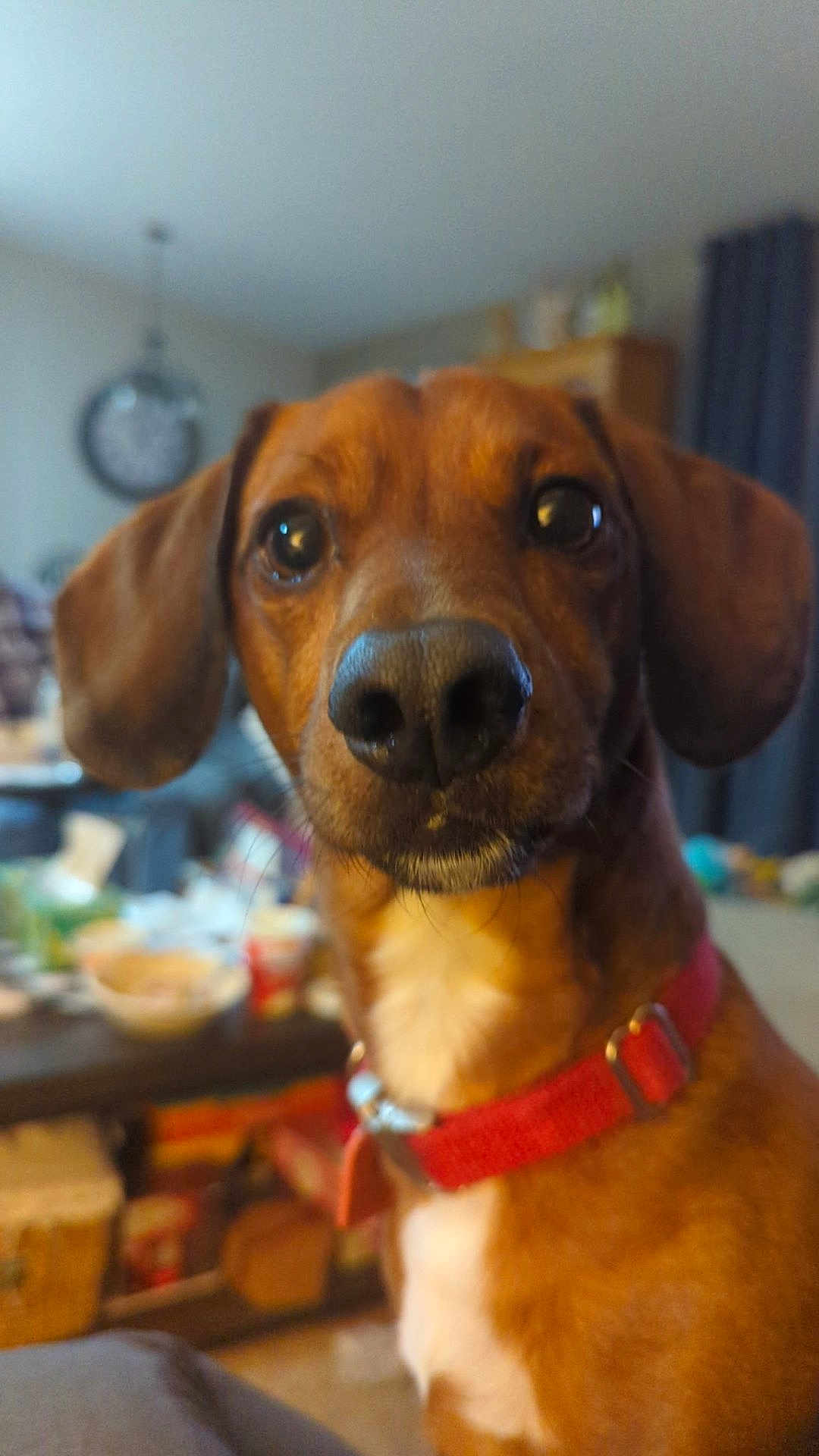 Dudley