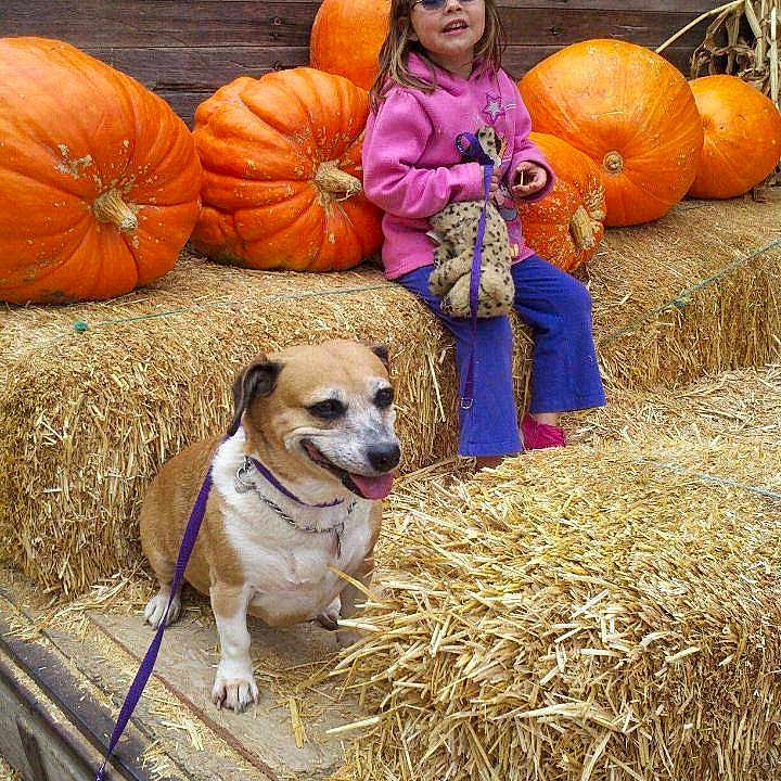 Cheyenne joined the competition — help win amazing prizes!