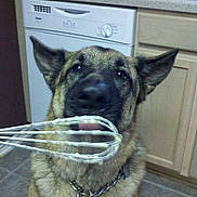 Schlage is registered to the contest to win money with this photo:
