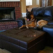 Klaus is registered to the contest to win money with this photo:
