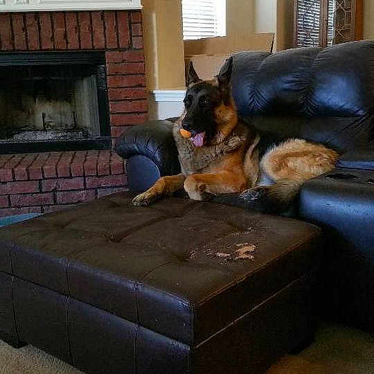 Klaus