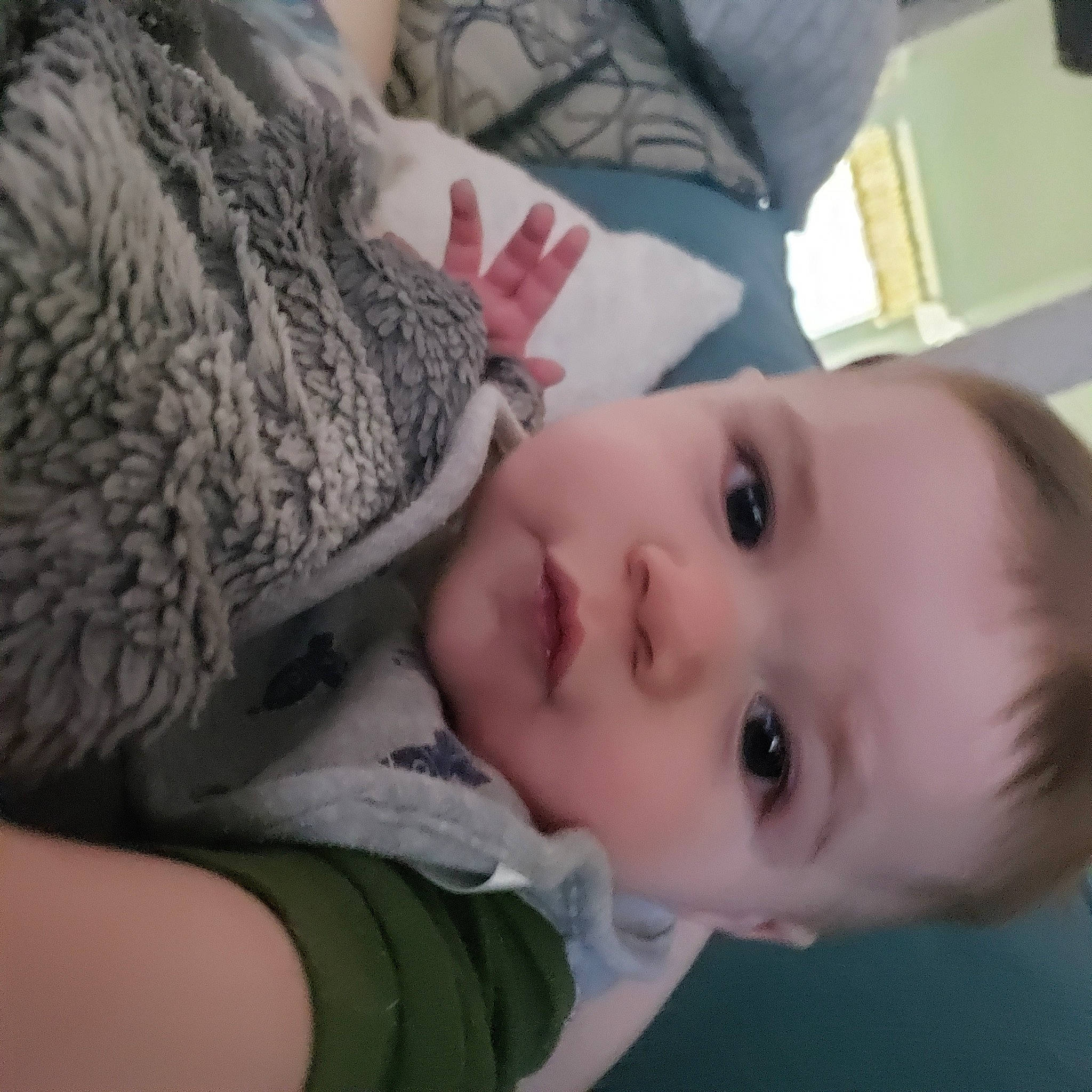 Colton is registered to the contest to win money with this photo: cheek, child, chin, comfort, ear, eye, eyebrow, eyelash, forehead, gesture, human_body, iris, lip, mouth, neck, nose, person, skin, toddler, tree