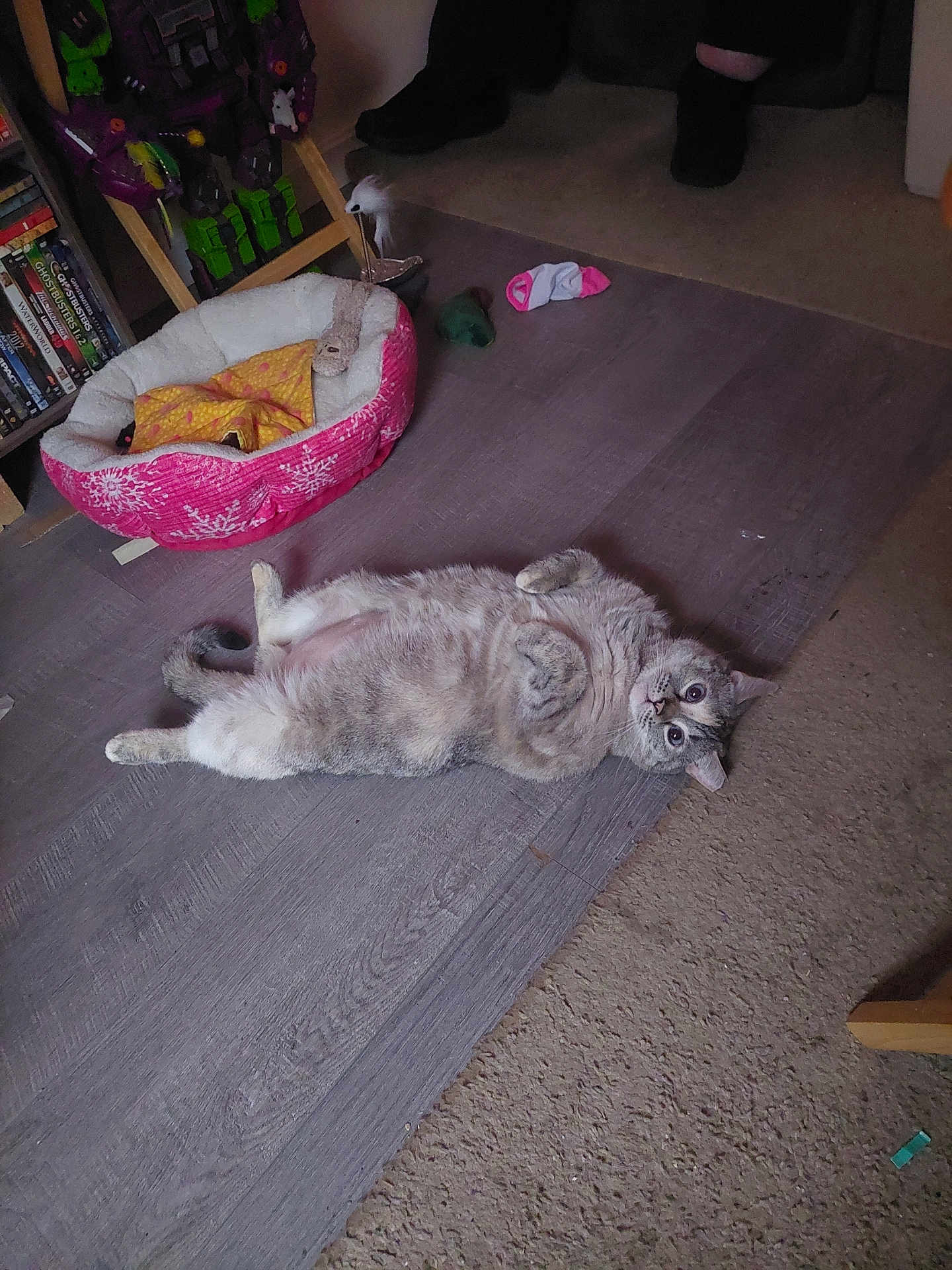 Meeka