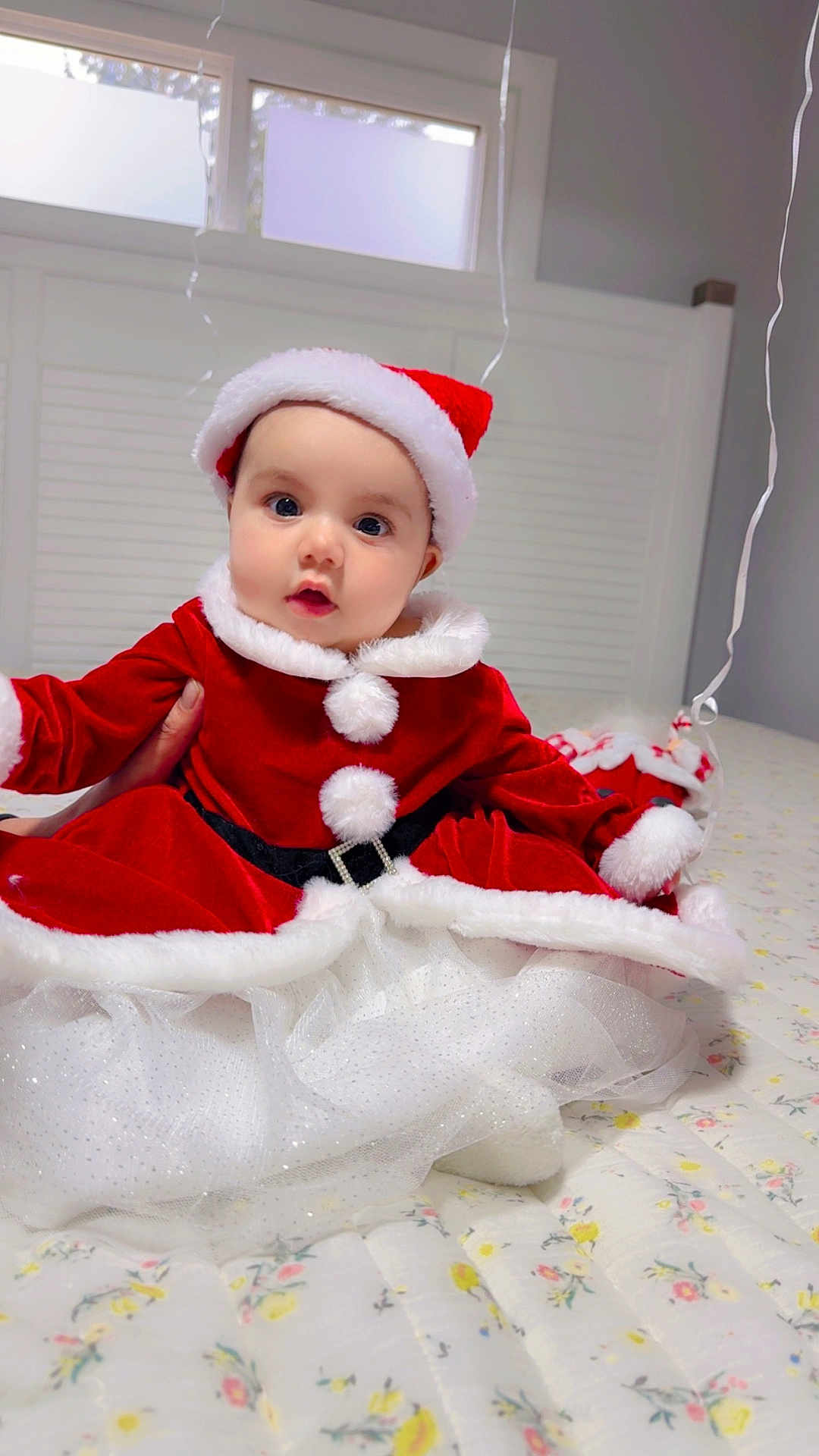 Parry joined the competition — help win amazing prizes! baby, child, santa_hat, christmas_outfit, red_clothing, white_fur_trim, bed, floral_bedspread, indoors, window, curious, cute, holiday, festive, tulle_skirt, person, portrait, holiday_costume, celebration, smiling