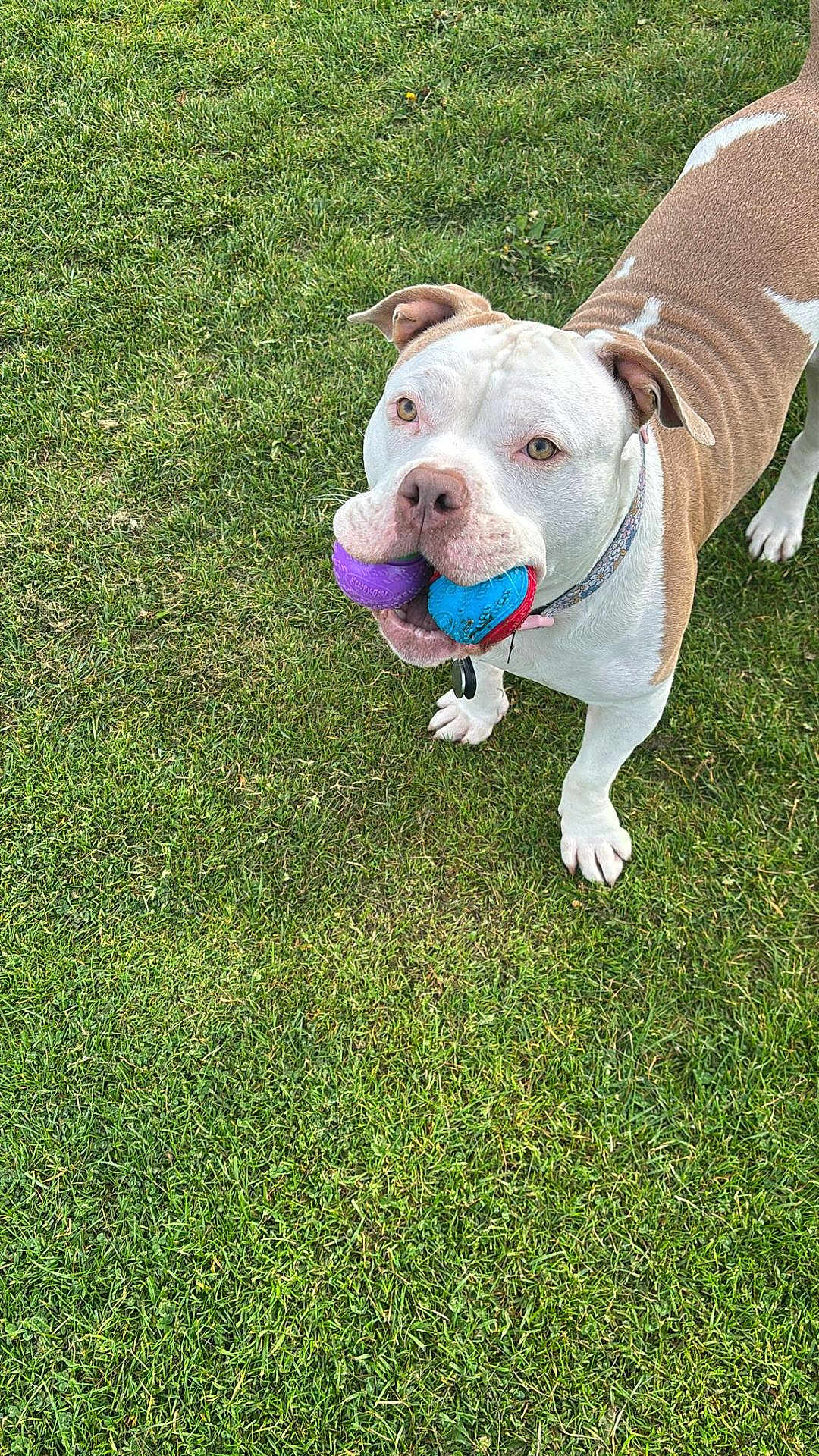 Winnie
