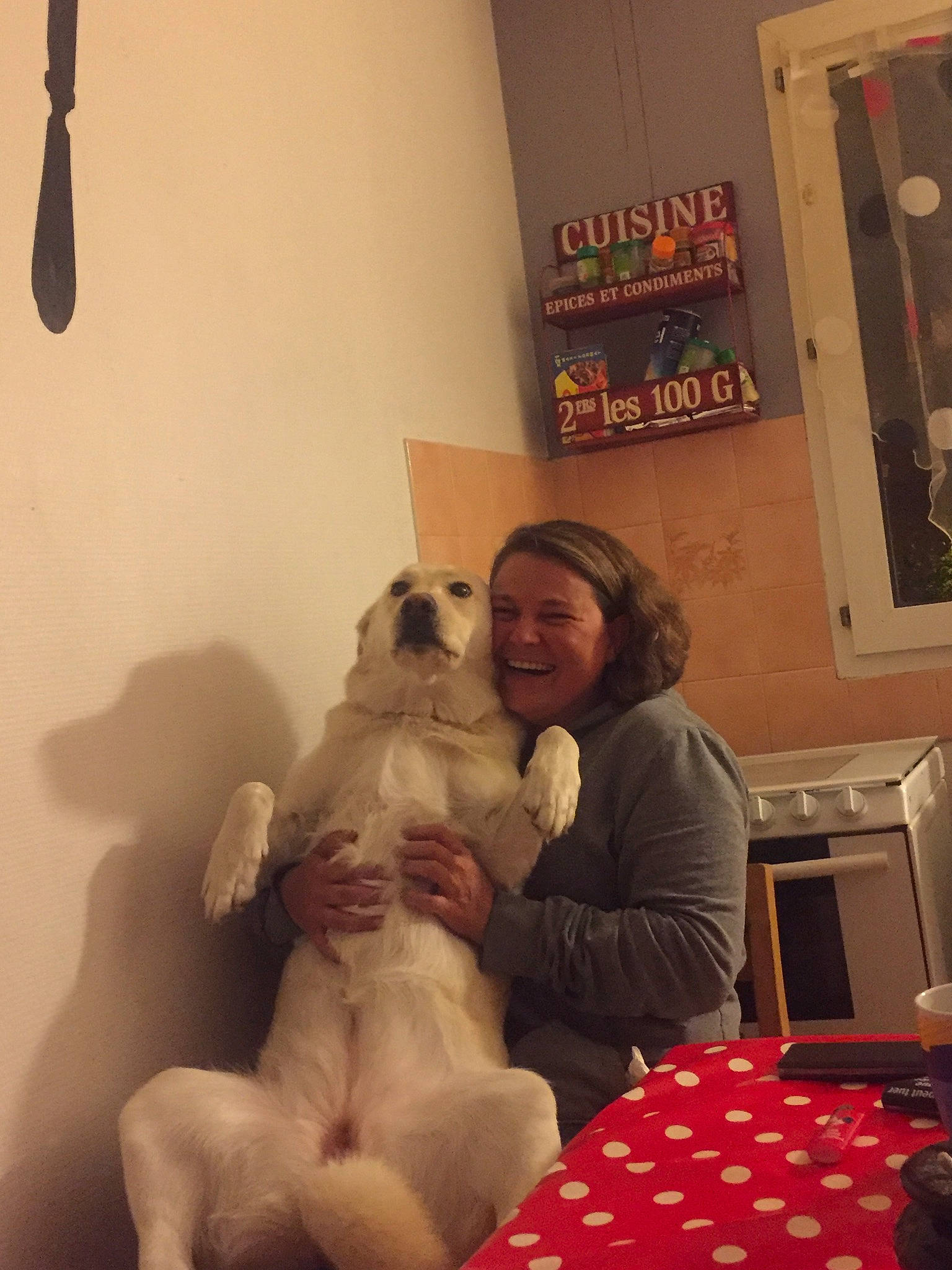 Biscotte a rejoint le concours — aidez-le/la à gagner de superbes lots ! carnivoran, cat, dog, dog_breed_group, dog_like_mammal, ear, fun, girl, joy, mammal, organ, person, sitting, skin, snapshot, vertebrate