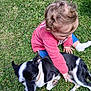 Adèle participe au concours pour gagner de l'argent avec cette photo : toddler, child, dog, grass, outdoor, pet, playing, pink_sweater, blue_pants, white_socks, black_and_white_dog, animal, nature, grass_field, young_child, cute, sunny_day, interaction, small_dog, curly_hair