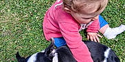 Adèle a rejoint le concours — aidez-le/la à gagner de superbes lots ! toddler, child, dog, grass, outdoor, pet, playing, pink_sweater, blue_pants, white_socks, black_and_white_dog, animal, nature, grass_field, young_child, cute, sunny_day, interaction, small_dog, curly_hair