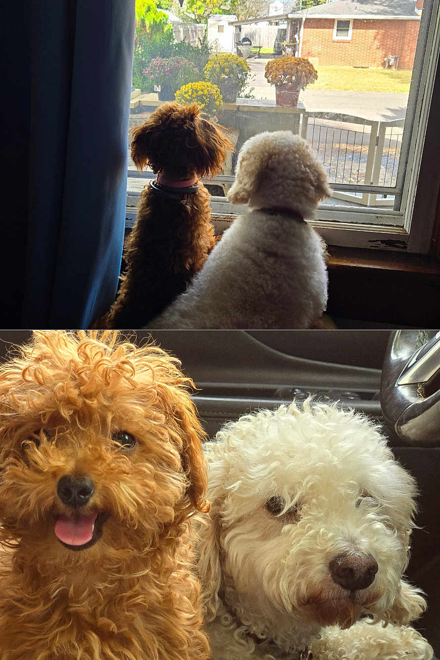 Alex And Cy Cy