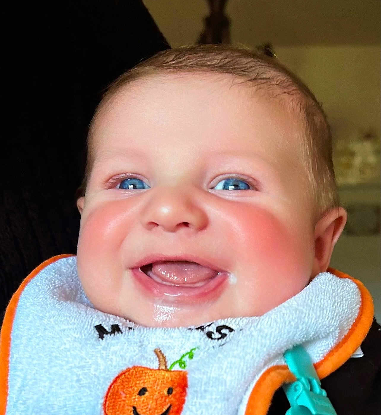 Joseph is registered to the contest to win money with this photo: baby, blue_eyes, bib, drool, face, happy, infant, orange, pumpkin, smile, closeup, cute, child, person, portrait, rosy_cheeks, expression, clothing, indoor, young