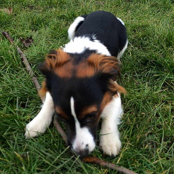 Charlie is registered to the contest to win money with this photo: