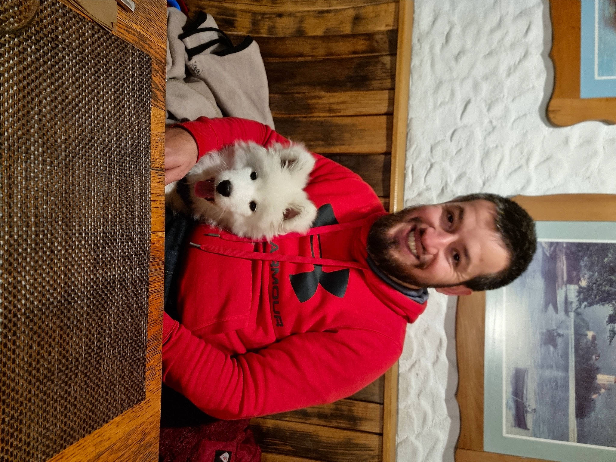 Iron is registered to the contest to win money with this photo: canidae, carmine, carnivore, comfort, companion_dog, dog_breed, fur, happy, mammal, pattern, picture_frame, plush, room, sitting, sleeve, smile, sporting_group, stuffed_toy, toy, wood