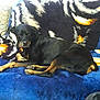 Sage is registered to the contest to win money with this photo: