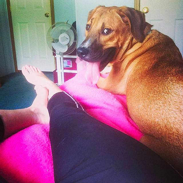 Axel Foley joined the competition — help win amazing prizes!