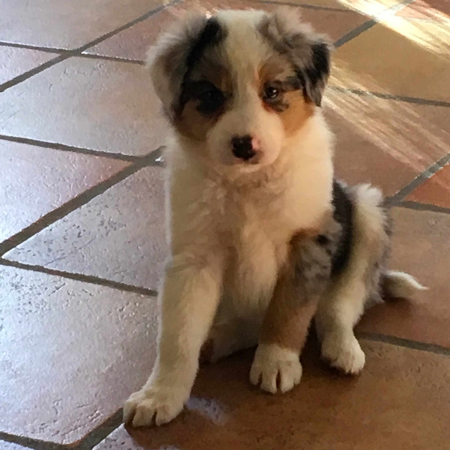 Nina