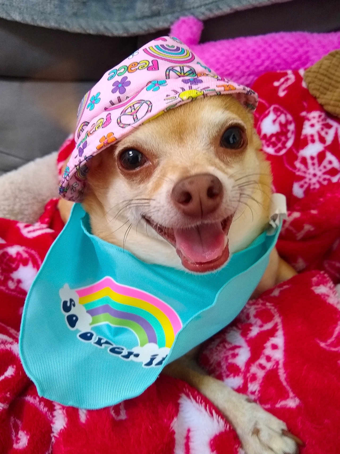 Gizmo